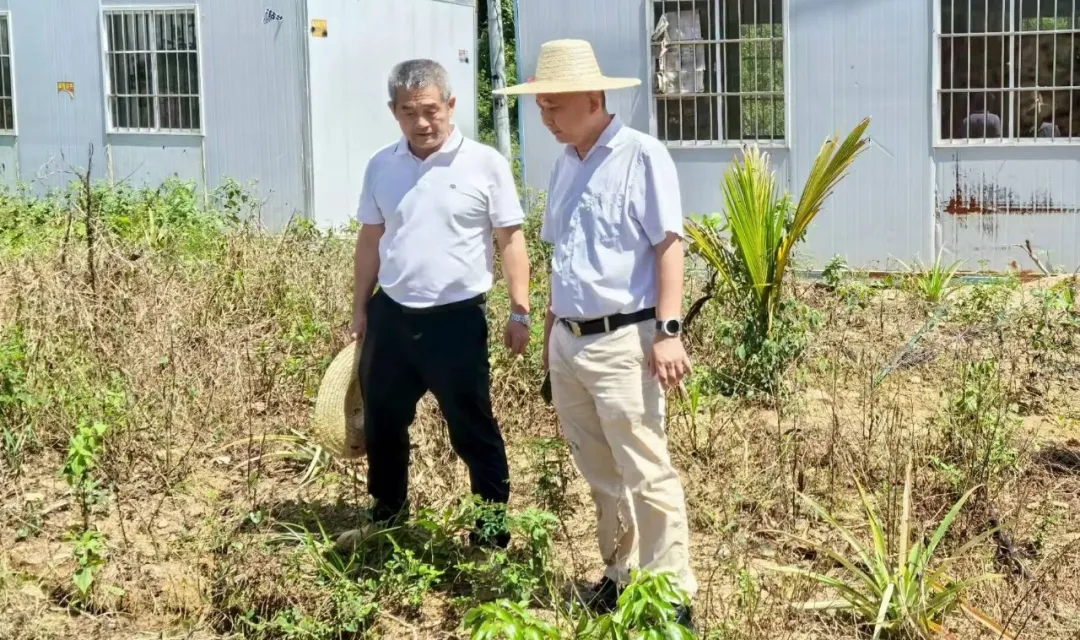 王宏向赴山荣分公司调研