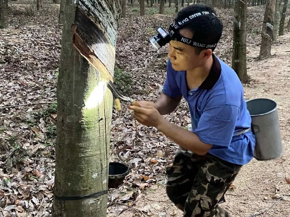 1751bac8d74f407aaa744476bad626ba