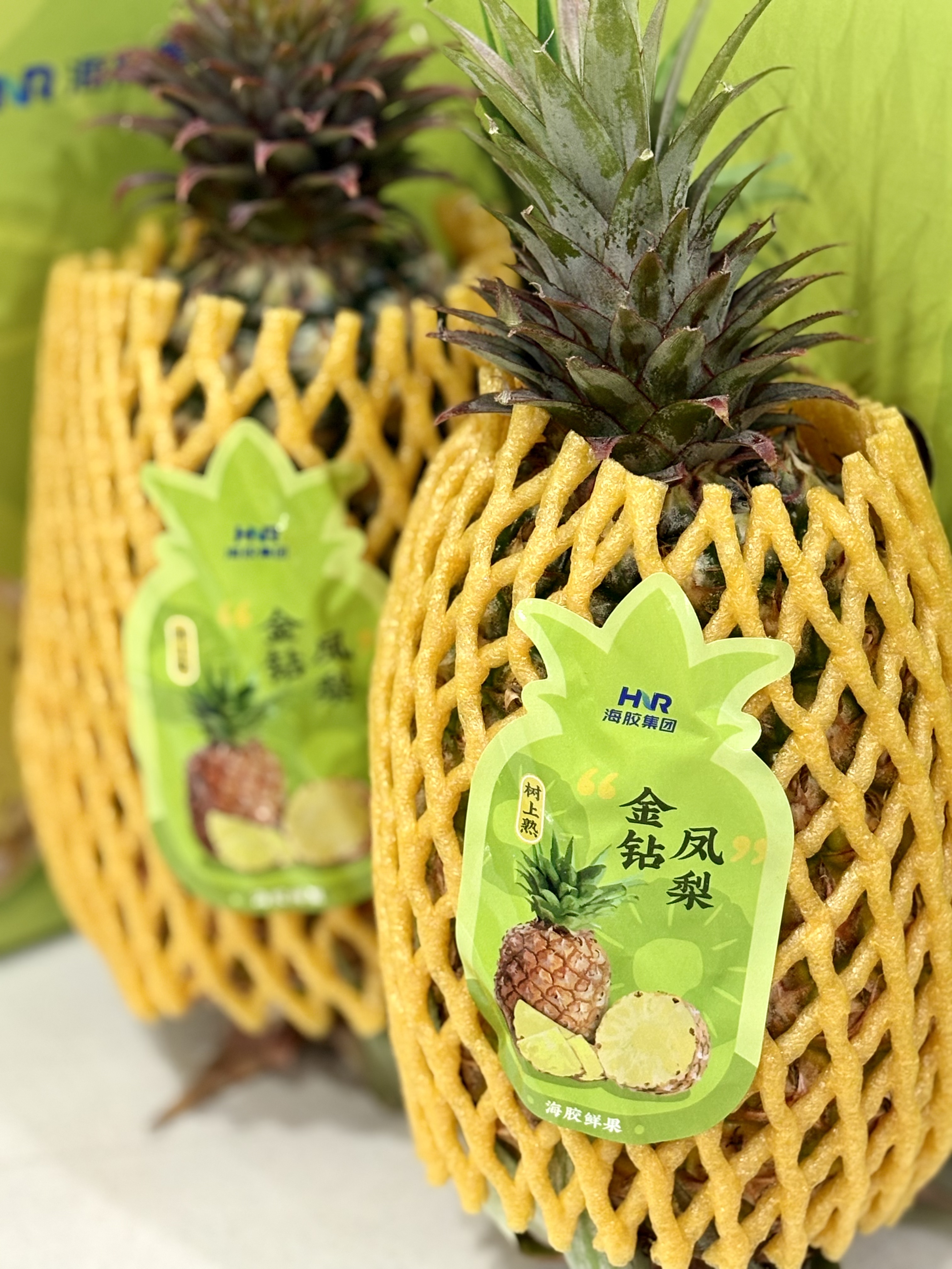 3044永利集团鲜果金钻凤梨