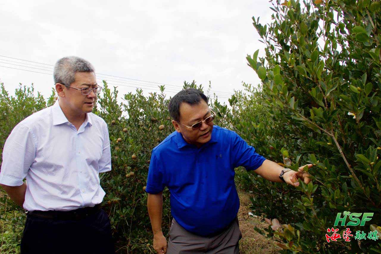 77035f2a85ba44348830fc38763071dc