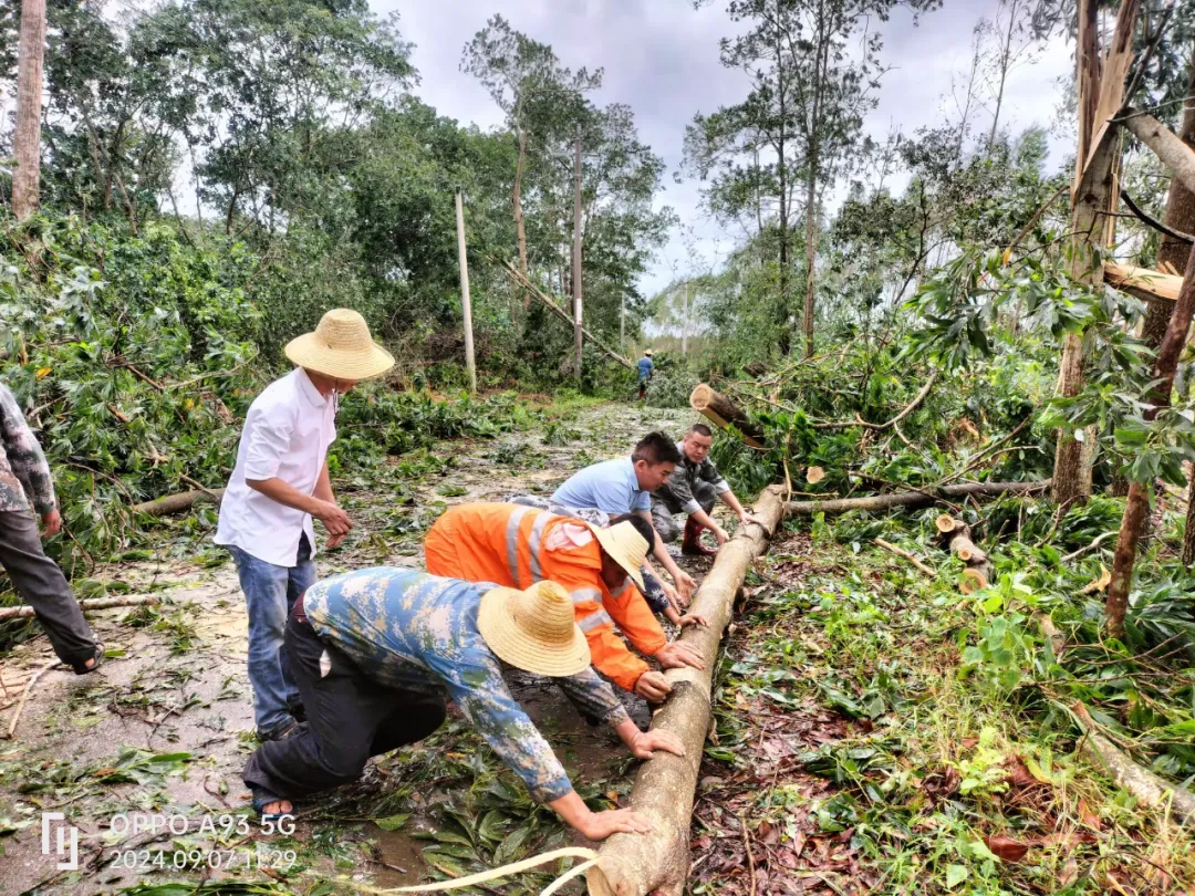 97b02e5e79c24f718640b4a2365d0e88