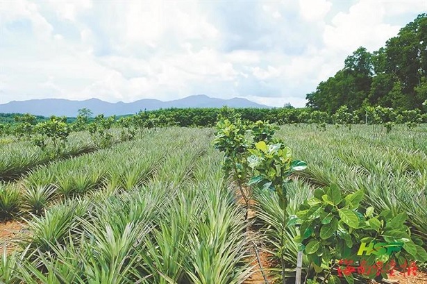 中国·3044永利集团(集团)有限公司-官方网站