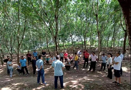 中国·3044永利集团(集团)有限公司-官方网站