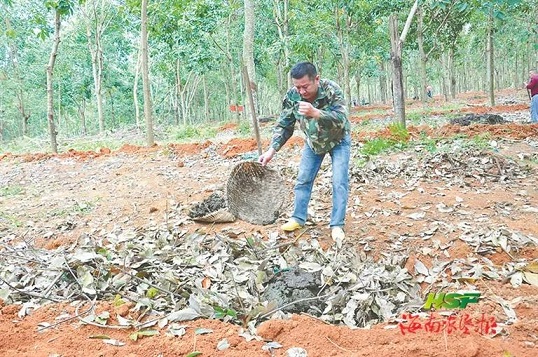 中国·3044永利集团(集团)有限公司-官方网站