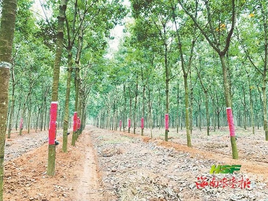 中国·3044永利集团(集团)有限公司-官方网站