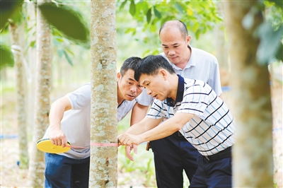 中国·3044永利集团(集团)有限公司-官方网站