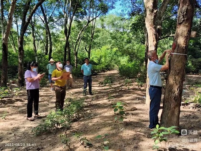 中国·3044永利集团(集团)有限公司-官方网站