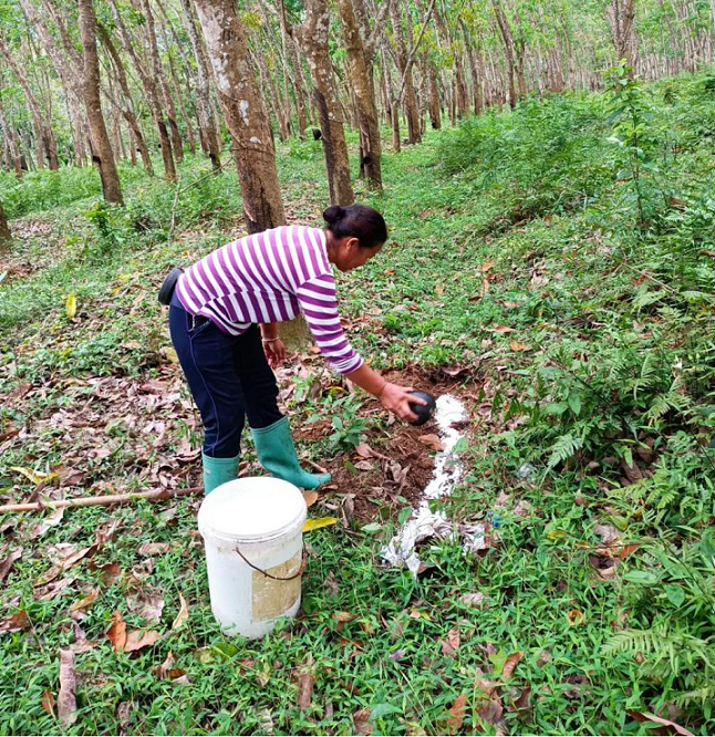 中国·3044永利集团(集团)有限公司-官方网站