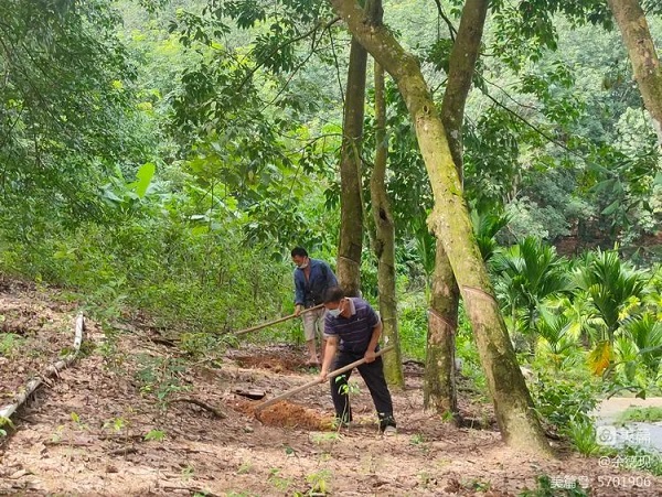 中国·3044永利集团(集团)有限公司-官方网站