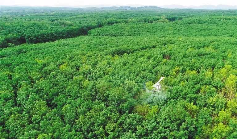 中国·3044永利集团(集团)有限公司-官方网站