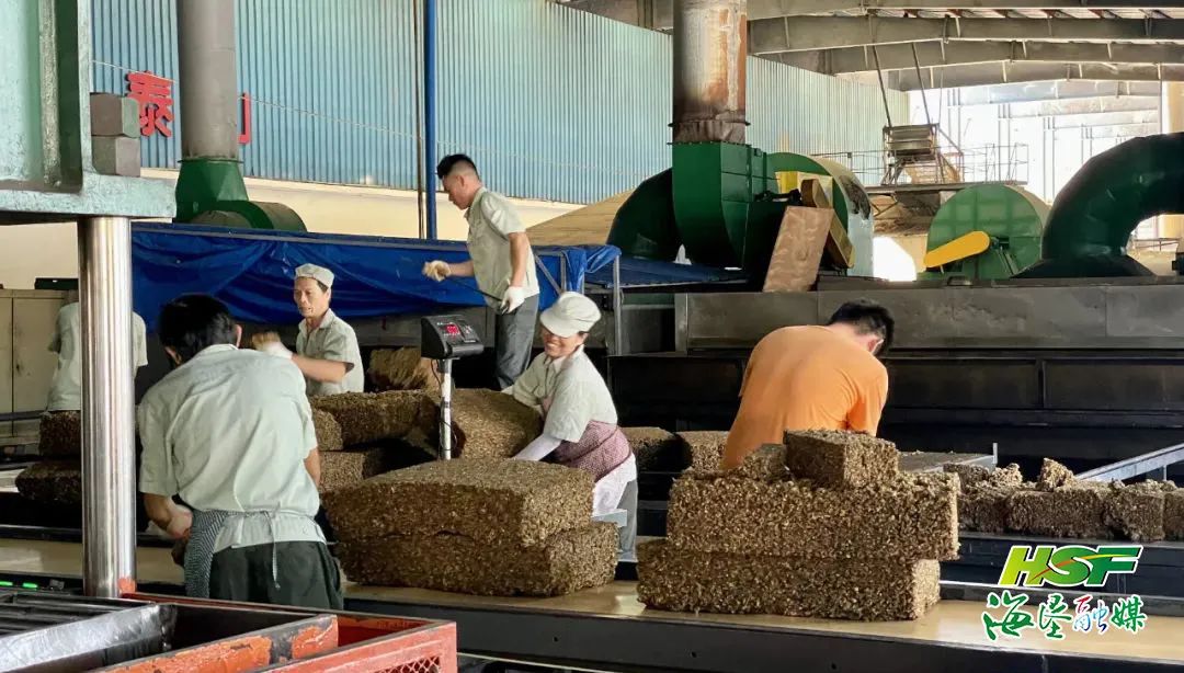 中国·3044永利集团(集团)有限公司-官方网站