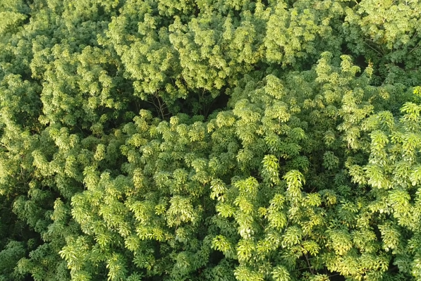 中国·3044永利集团(集团)有限公司-官方网站