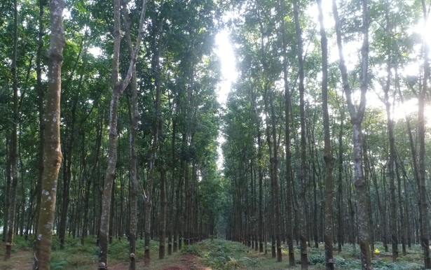 中国·3044永利集团(集团)有限公司-官方网站