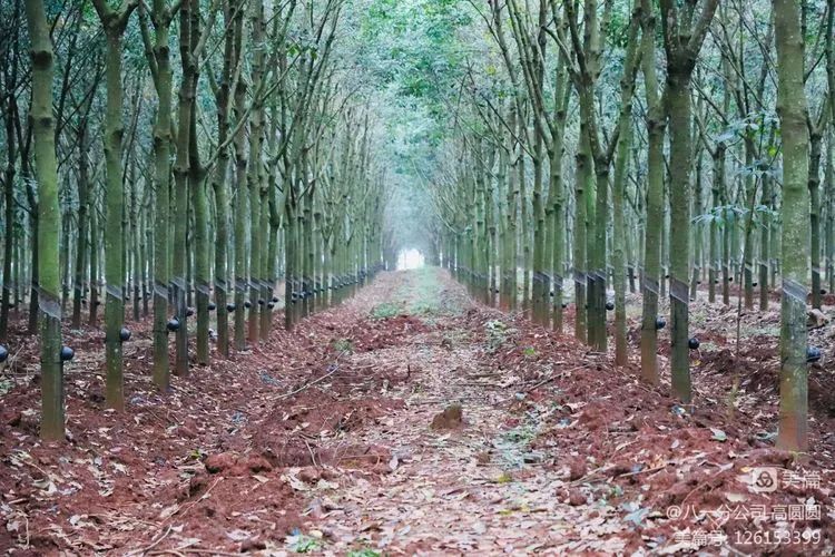 中国·3044永利集团(集团)有限公司-官方网站