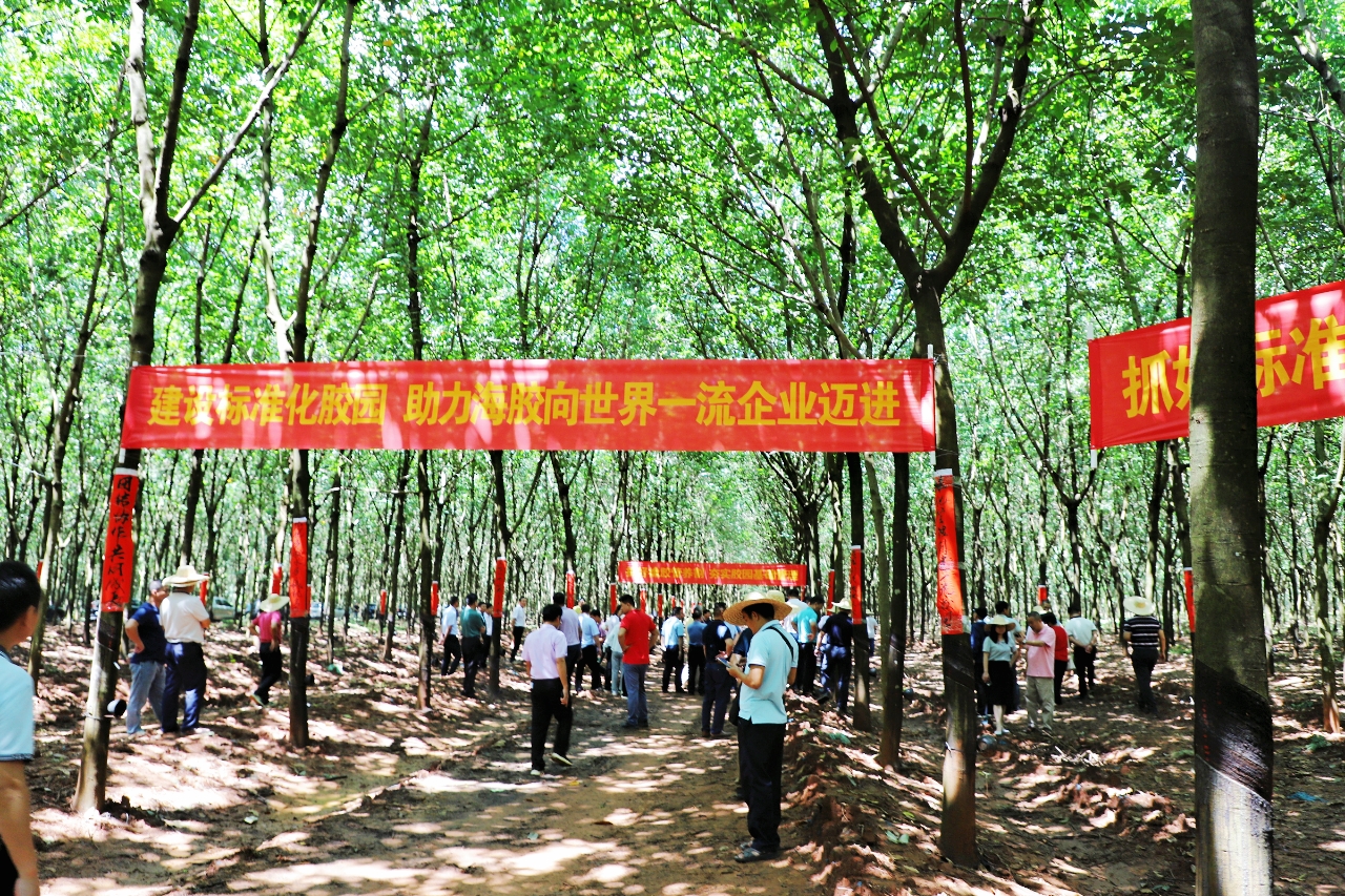 中国·3044永利集团(集团)有限公司-官方网站